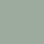 Colourcoats RAF Interior Grey-Green ACRN28
