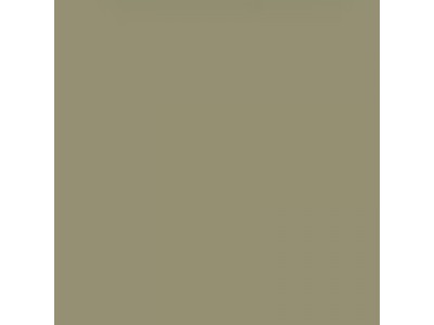 Colourcoats Nakajima Amber Grey (Ameiro) ACJ17