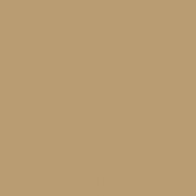 Colourcoats Afrika Corps Tan Yellow RAL8020 ARG03