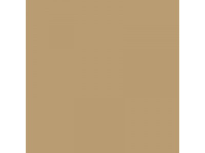 Colourcoats Afrika Corps Tan Yellow RAL8020 ARG03