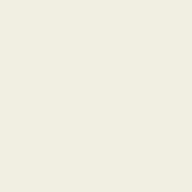 Colourcoats Bianco Sporco Opaco (Matte Foul White) RM07 30ml