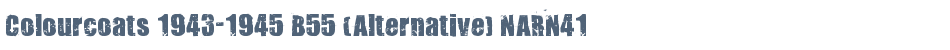 Colourcoats 1943-1945 B55 (Alternative) NARN41