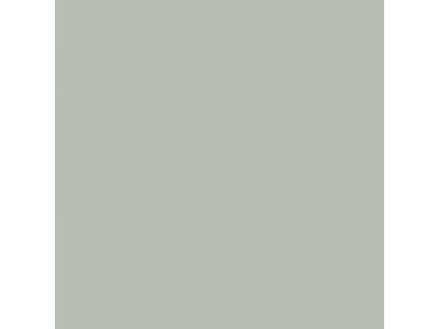 Colourcoats 1943-1945 B55 (Alternative) NARN41