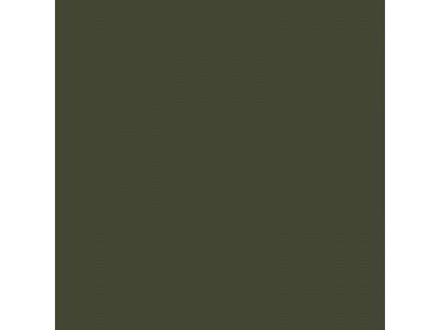 Colourcoats Oliv Grun RAL6003 ACLW28