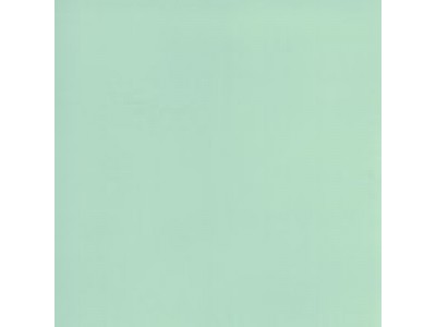 Colourcoats ALG-5 Metal Primer ACS07