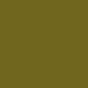 Colourcoats IJN Interior Olive Green ACJ18