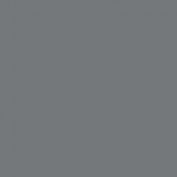 Colourcoats JMSDF Deck Grey M15