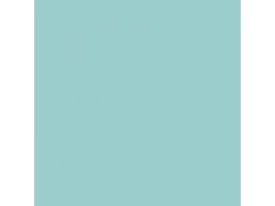 Colourcoats 1943-1945 B55 NARN40