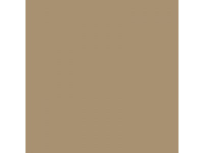 Colourcoats Israeli Sand Grey ARI01