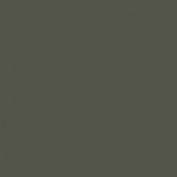 Colourcoats Dark Green FS24079 (Vietnam) ACUS20