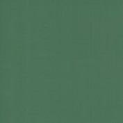 Colourcoats WW2 Russian Army Green ARR02