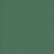 Colourcoats WW2 Russian Army Green ARR02