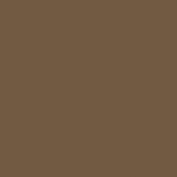 Colourcoats Dark Earth ACRN10