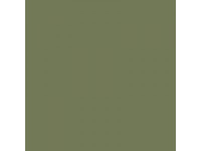Colourcoats 5-OG Ocean Green US19