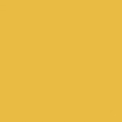 Colourcoats Interwar Primrose Yellow NARN10