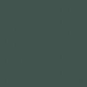 Colourcoats Schwarzgrun RLM 70 ACLW02