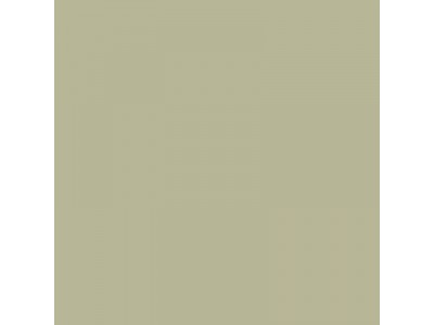 Colourcoats 5-PG Pale Green Revised US21