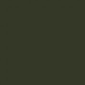 Colourcoats Olivegrun RLM80 ACLW19