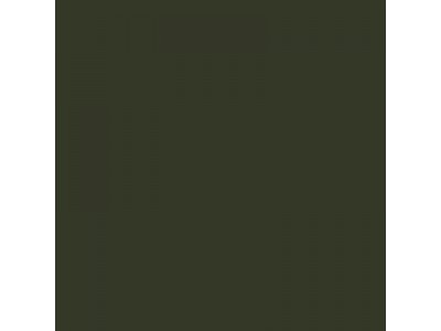 Colourcoats Olivegrun RLM80 ACLW19