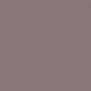 Colourcoats Mountbatten Pink NARN25 30ml