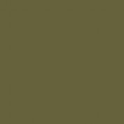 Colourcoats Light Green (1970s - 1980s) ARUS07