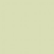 Colourcoats Giallo Verde (Yellow-Green) RM06