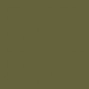 Colourcoats USN/USAAF Interior Green (ANA611) ACUS09