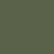 Colourcoats Grun RLM 62 ACLW09