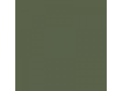 Colourcoats Grun RLM 62 ACLW09