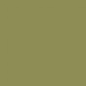 Colourcoats IJN Interior Buff Green ACJ04