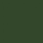 Colourcoats - IJA #21 Midori iro ACJ05