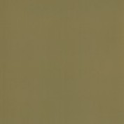 Colourcoats Dunkelgelb, Dark Yellow ARG11