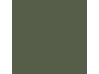 Colourcoats Hellgrun RLM82 ACLW20