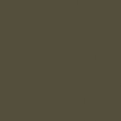 Colourcoats USAAFOlive Drab 41 ACUS15