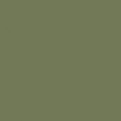 Colourcoats Light Green ACRN25 