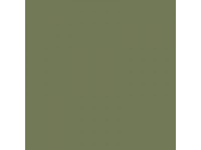 Colourcoats Light Green ACRN25 