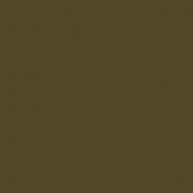 Colourcoats AP631 Bronze Grey NARN45 30ml