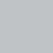 Colourcoats #46 Neutral Outside Gray (1945) US32 30ml