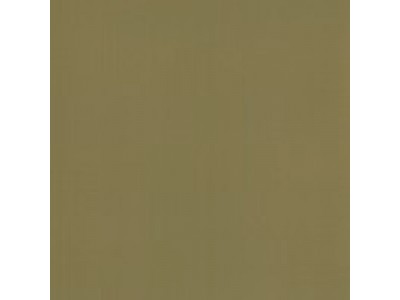 Colourcoats Dunkelgelb, Dark Yellow ARG11