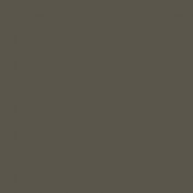 Colourcoats Dunkelgrun RLM83 ACLW01