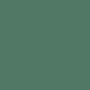 Colourcoats Type 2 Camouflage IJN06