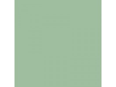Colourcoats Verde Chiaro (Light Green) RM05