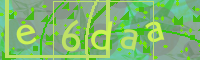 Visual Confirmation Code