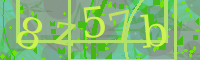 Visual Confirmation Code