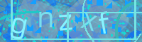 Visual Confirmation Code